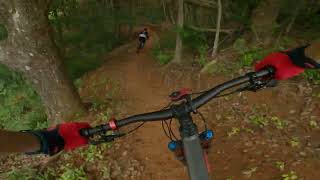 Uki Mountain Bike Park - 4 Rolling (T3)