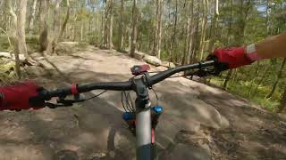 Ourimbah MTB Park - Rollercoaster