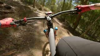 Ourimbah MTB Park - Amaroo