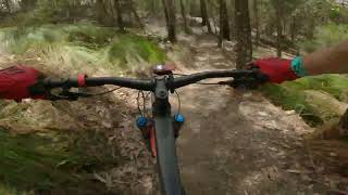 Narooma Mountain Bike Park - Hump Back