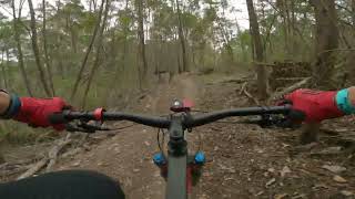 Narooma Mountain Bike Park - Berm-a-gooey