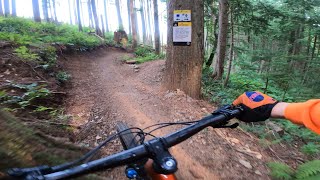 Tiger Mountain MTB // E.T. to Super T