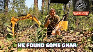 Best MTB Trail At Everstoke? I Think I have A...