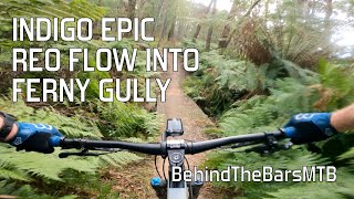 Riding Indigo Epic // Yack Reo Flow into Ferny...