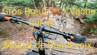 Gros Bœuf / Vache qui rit - Massif de...