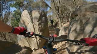 Mount Stromlo MTB Park - Tall Trees