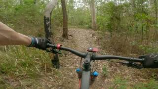 Kiwarrak State Forest - Lobotomy