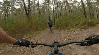 Kiwarrak State Forest - Entree