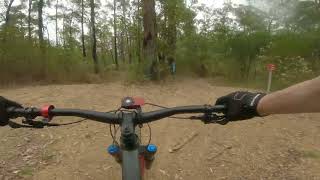 Kiwarrak State Forest - Trampoline