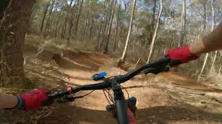 Daisy Hill MTB trails - Jumping Ant