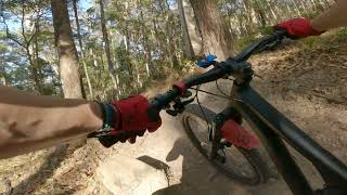 Daisy Hill MTB trails - Nirvana