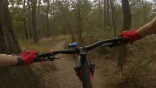 Bunyaville Conservation Park MTB trails -...
