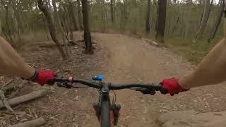 Bunyaville Conservation Park MTB trails -...