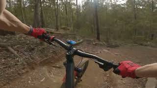 Bunyaville Conservation Park MTB trails - Zig Zag