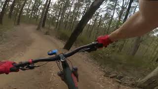 Bunyaville Conservation Park MTB trails - Steps