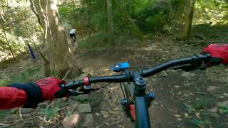 Bunya Mountains MTB trails - Serpent Spin