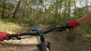 Tewantin National Park MTB trails - Secrets