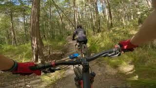 Tewantin National Park MTB trails - Snake