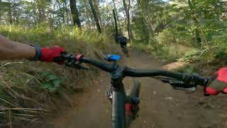 Tewantin National Park MTB trails - Waterfall...