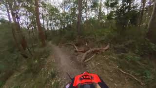 Eastern Escarpment Conservation Area MTB...