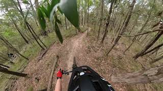 Daisy Hill MTB trails - Wiry Panic
