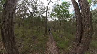 Daisy Hill MTB trails - Grasstree