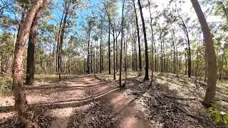 Daisy Hill MTB trails - Chipline