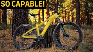 The Budget EMTB you DIDN'T KNOW you needed