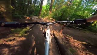 Starz - Bert Flinn, Port Moody BC