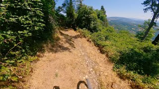 Asino Che Vola + Maschio - Monte Morello