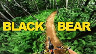 Riding Black Bear - The Highest Rated Trail In...
