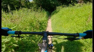 A Beginner-Friendly MTB Trail in St. Louis:...