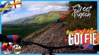 Best of the GOLFIE - Innerleithen with...