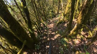 Saint-Claude - Tchou Tchou - MTB POV