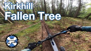 Kirkhill - Fallen Tree