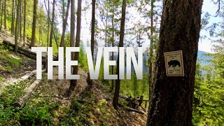 Crashed on this all-mountain trail deep in...