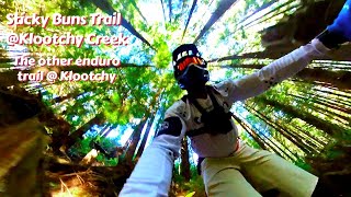 Sticky Buns 2023 @ Klootchy Creek Trails