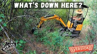 Spring & Climb - Making Everything Everstoke