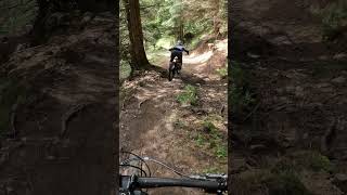 Everyone needs a trail fairy