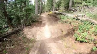 AZ DH MTB : Sunrise Park Resort : Green Flow...