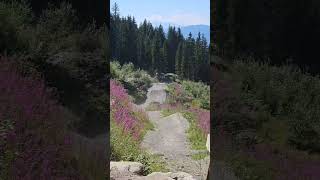 monster jump line @bikeparkplanai