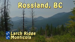 Larch Ridge and Monticola