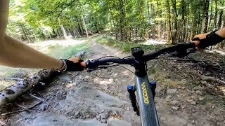 Campigna - sui sentieri Cai 86 e 82 fino al...