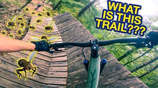 South Bluff Mountain Bike Trails - Babcock,...