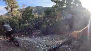 Charleston Peak - Pixie Trail