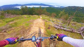 Vancouver Island Trails are Seriously Underrated