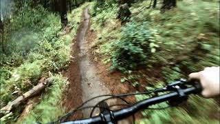 Uppercut and Sidecut ❱ Kimberley Nordic...