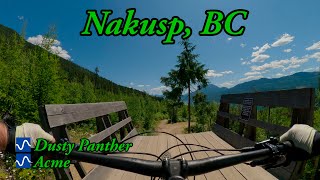 Best Intermediate MTB Flow Trails in Nakusp,...