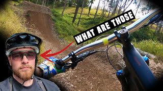 Black Diamond trails with some NEW eyes!