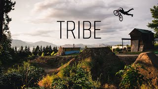 TRIBE